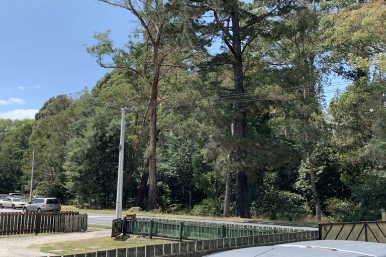 Photo of property in 88 Sala Street, Whakarewarewa, Rotorua, 3010