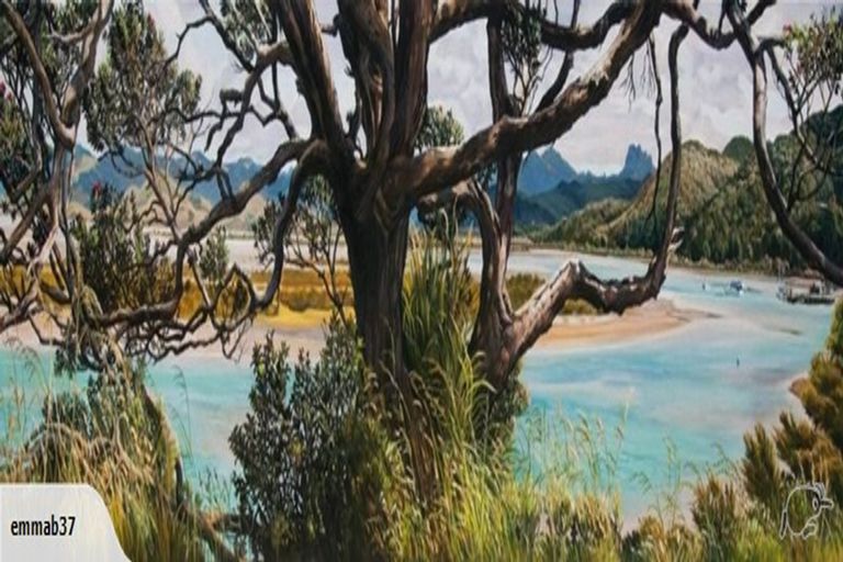 Photo of property in 46 Te Punga Road, Whangapoua, Coromandel, 3582