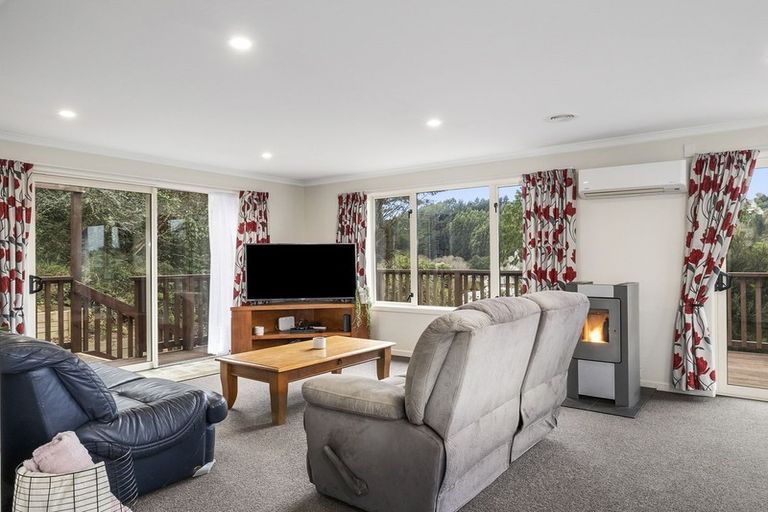 Photo of property in 45 Saint Albans Street, Bradford, Dunedin, 9011