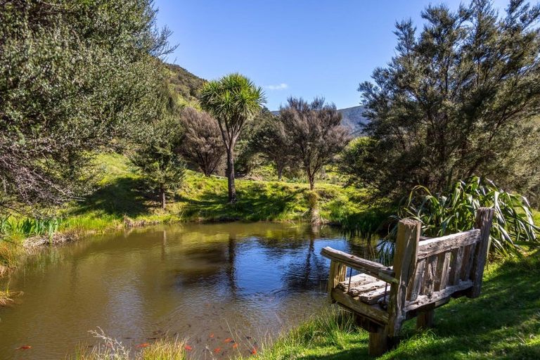 Photo of property in 91 Boar Bush Gully Road, Featherston, 5710