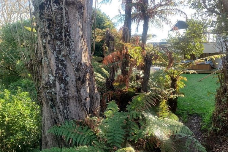 Photo of property in 12 Comries Road, Chartwell, Hamilton, 3210