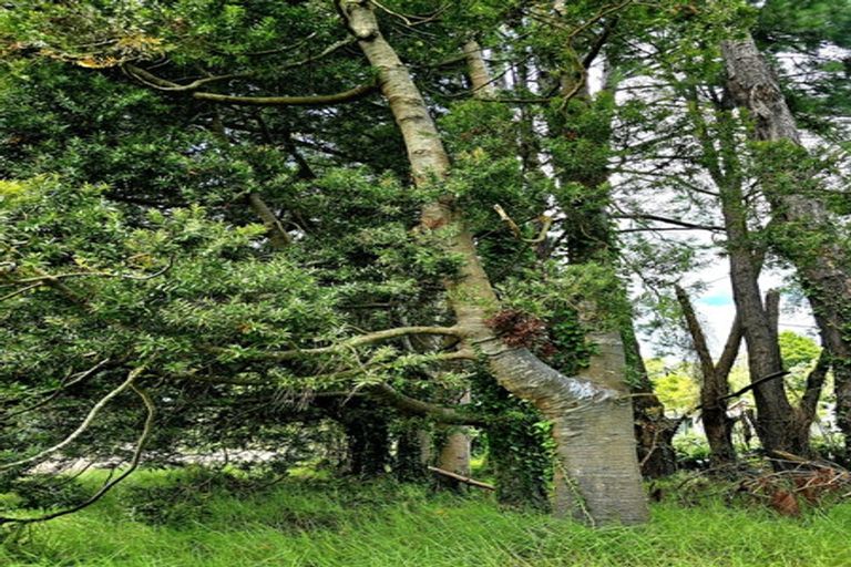 Photo of property in 327 Spains Road, Awanui, 0486