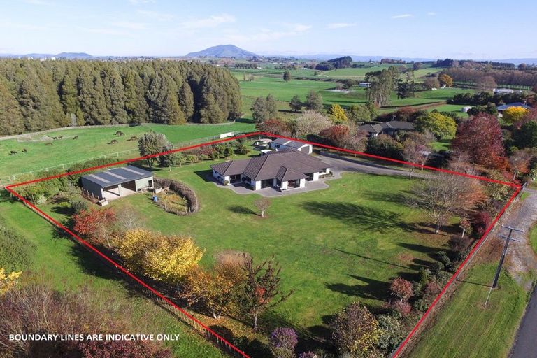Photo of property in 123 Ngaroto Road, Te Awamutu, Ohaupo, 3883