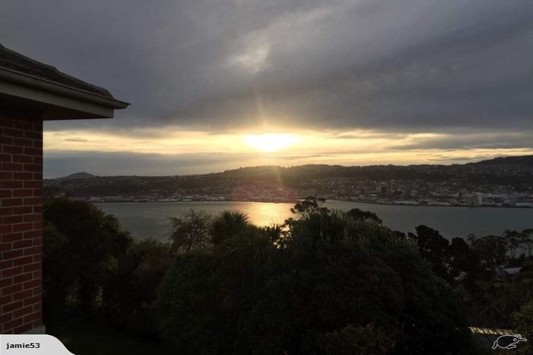 Photo of property in 52 Shandon Road, Vauxhall, Dunedin, 9013