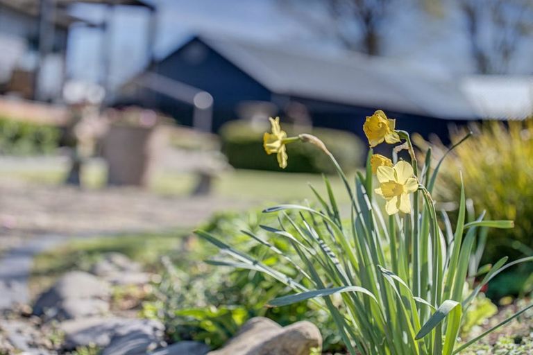 Photo of property in 32a Owen Street, Tikokino, Waipawa, 4273