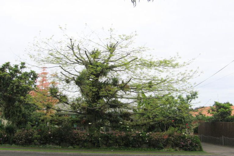 Photo of property in 15 Hamilton Street, Te Aroha, 3320