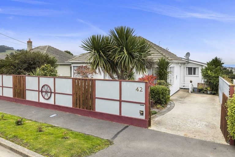 Photo of property in 42 Puketai Street, Andersons Bay, Dunedin, 9013