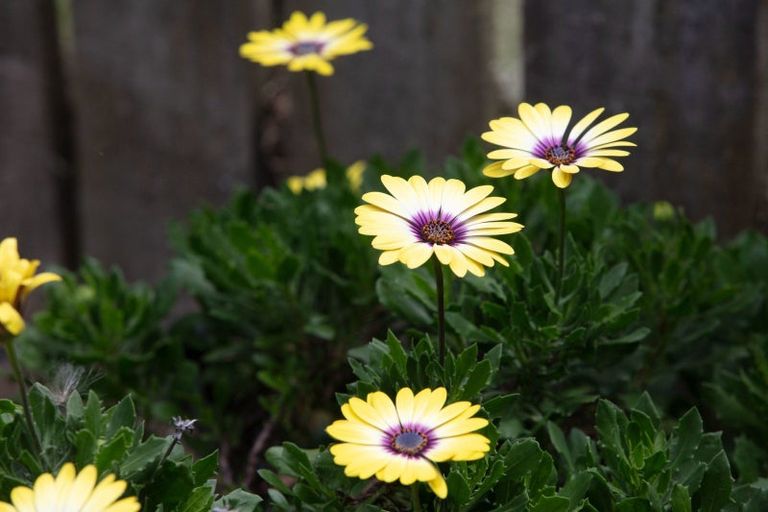 Photo of property in 7b Fairview Road, Katikati, 3129