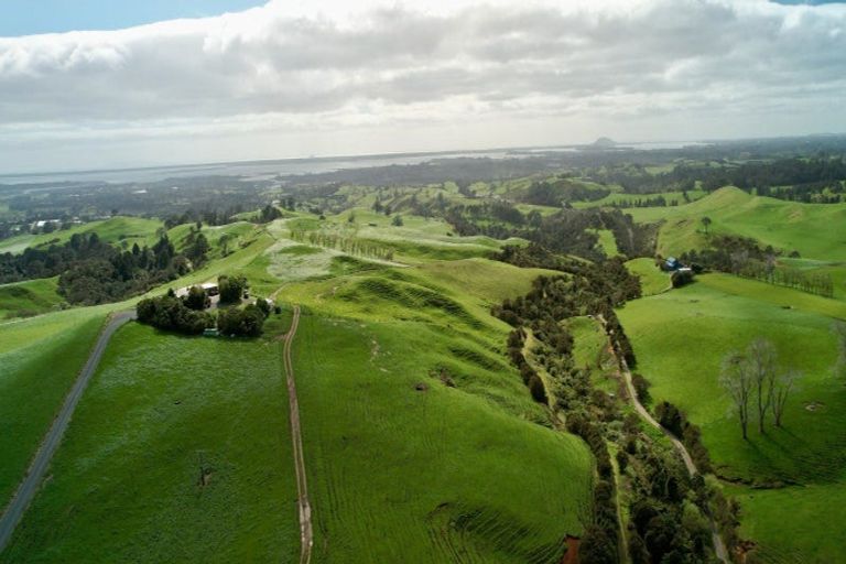 Photo of property in 717 Wright Road, Aongatete, 3181