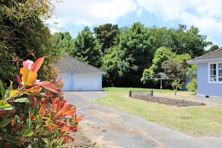 Photo of property in 44 Oxford Street, Lansdowne, Masterton, 5810