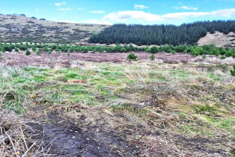 Photo of property in 350 Reu Reu Road, Halcombe, 4779