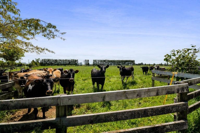 Photo of property in 325a Awai Road, Tarurutangi, New Plymouth, 4372