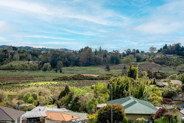 Photo of property in 73 Marshall Avenue, Greerton, Tauranga, 3112