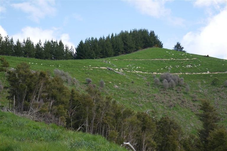 Photo of property in 497 Tadmor Valley Road, Tapawera, Wakefield, 7096