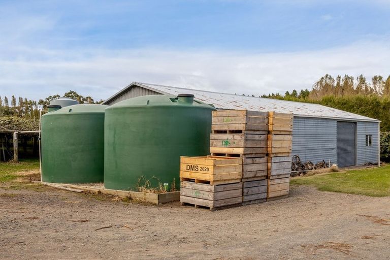 Photo of property in 39 Prole Road, Omokoroa, Tauranga, 3172