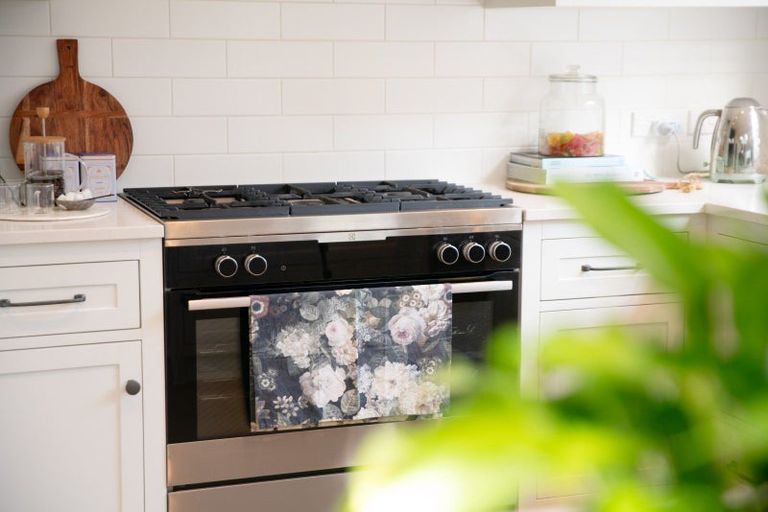 Photo of property in 56 Derwent Street, Island Bay, Wellington, 6023