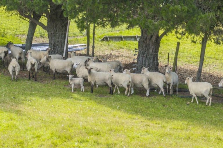 Photo of property in 249 Marshmans Road, Ashley, Rangiora, 7477