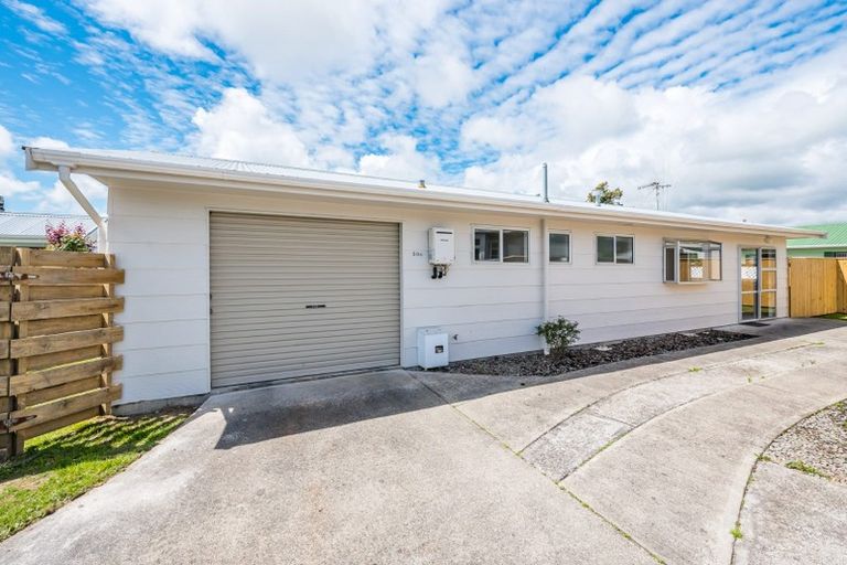 Photo of property in 50c Winchester Street, Levin, 5510