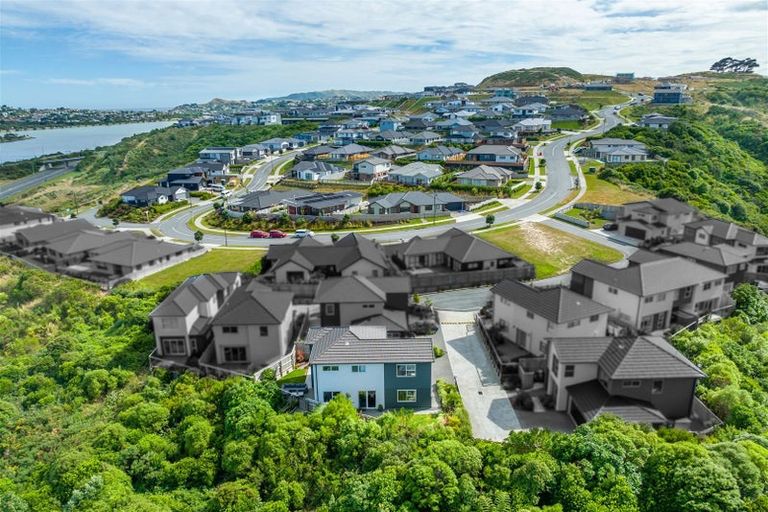 Photo of property in 160a John Burke Drive, Aotea, Porirua, 5024