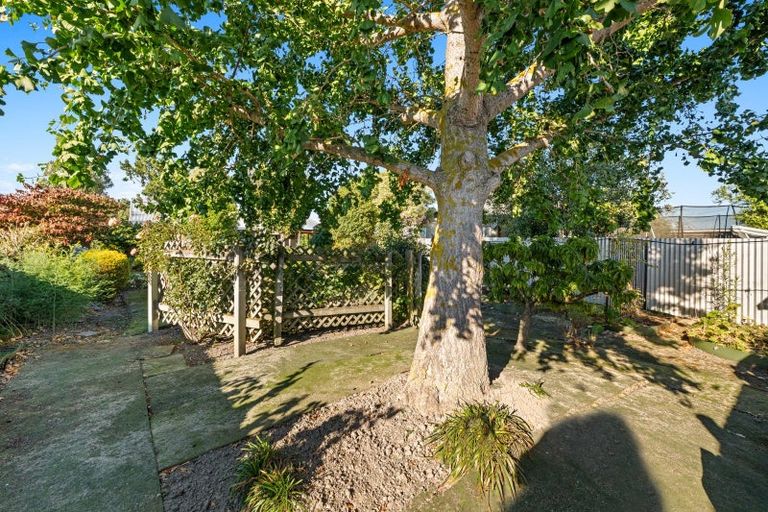 Photo of property in 71 Weld Street, Redwoodtown, Blenheim, 7201