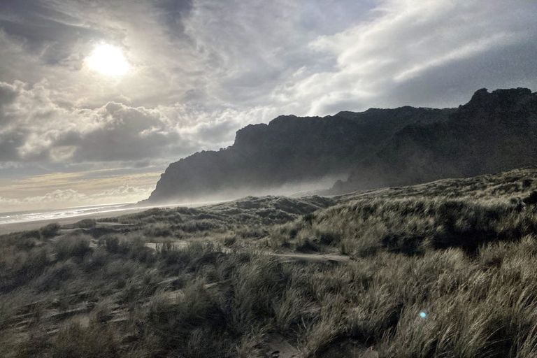 Photo of property in 103 Lone Kauri Road, Karekare, Auckland, 0772