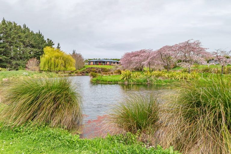Photo of property in 25 Twin Peaks Grove, Koputaroa, Levin, 5575