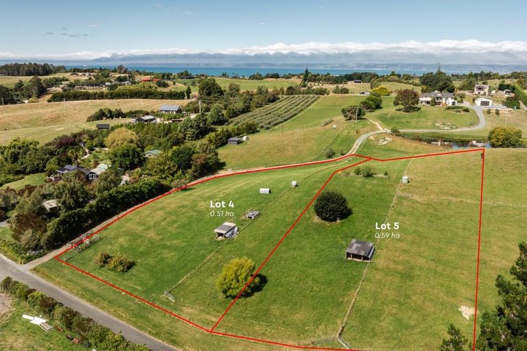 Photo of property in 43 Foley Road, Tasman, Upper Moutere, 7173