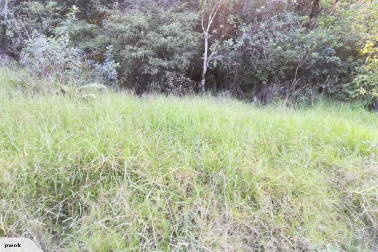 Photo of property in 1455 Port Charles Road, Port Charles, Coromandel, 3584