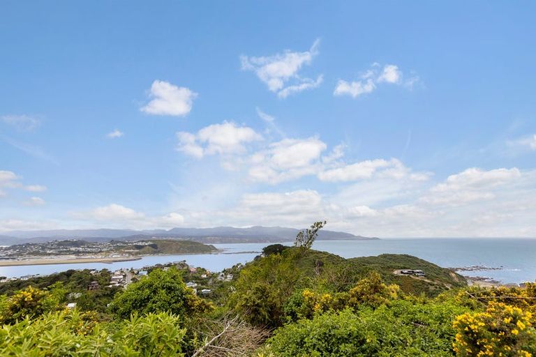 Photo of property in 119 Buckley Road, Southgate, Wellington, 6023