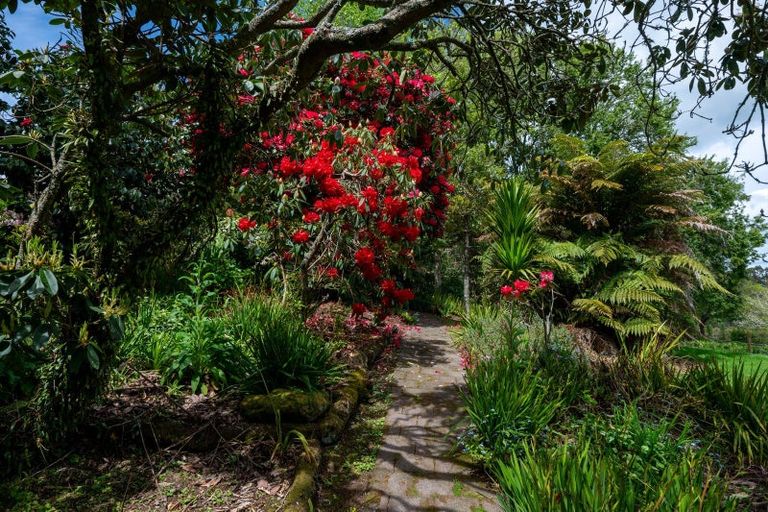 Photo of property in 186 Tauranga Direct Road, Hamurana, Rotorua, 3096