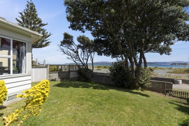 Photo of property in 24 Pukatea Street, Eastbourne, Lower Hutt, 5013