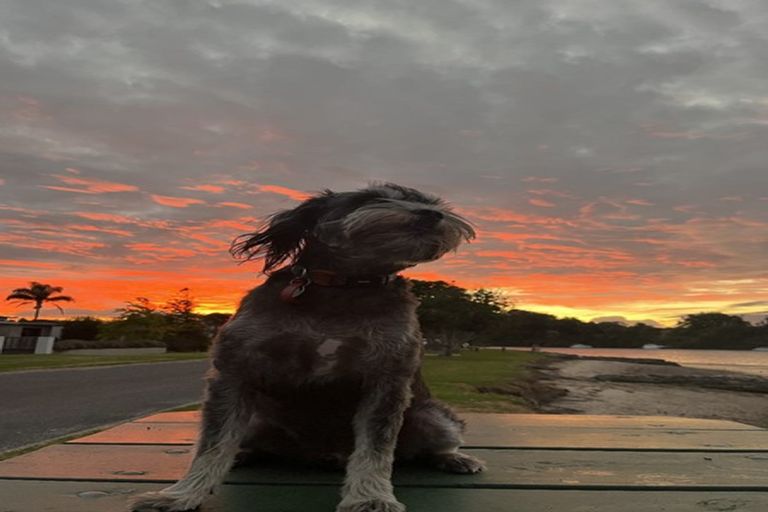 Photo of property in 24 Matahiwi Road, Te Puna, Tauranga, 3174