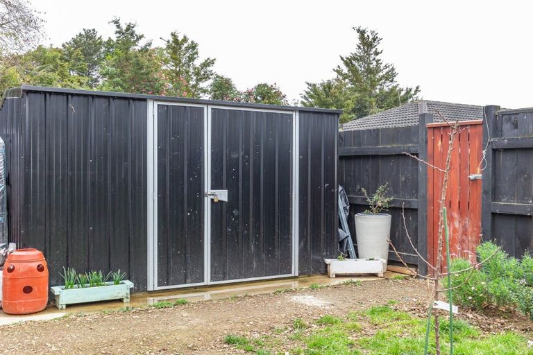 Photo of property in 81 Macarthur Street, Levin, 5510