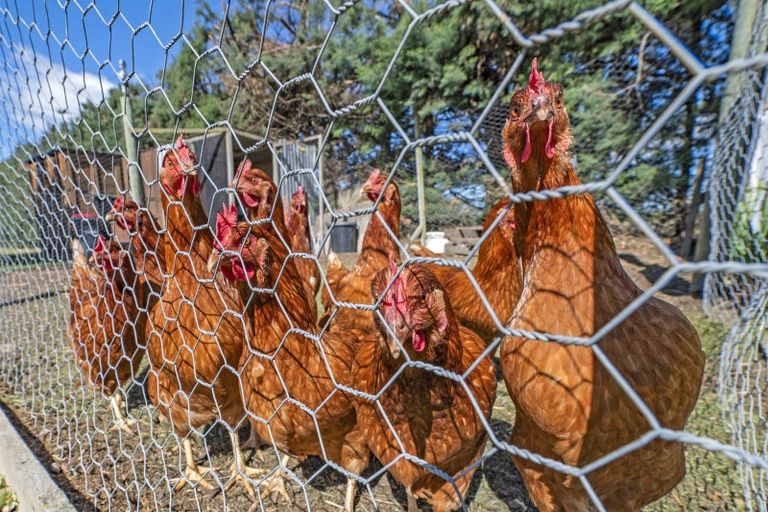 Photo of property in 74 Stott Drive, Darfield, 7571