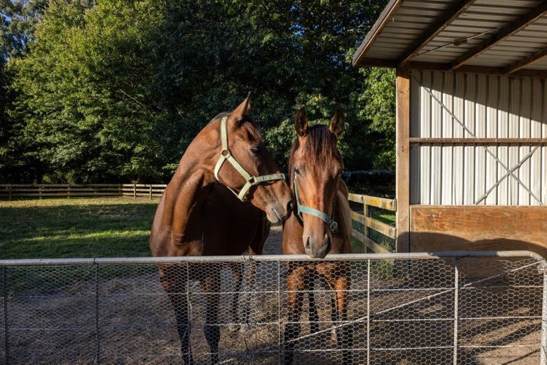 Photo of property in 110a Butcher Road, Matangi, Hamilton, 3284