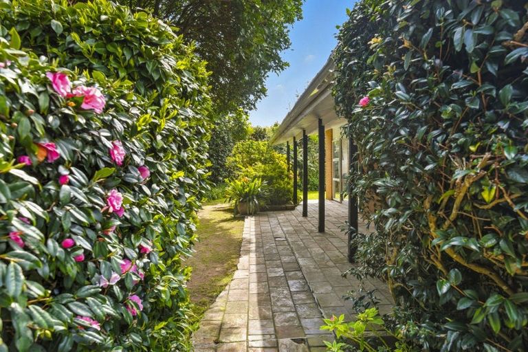 Photo of property in 335 Te Moana Road, Waikanae, 5036