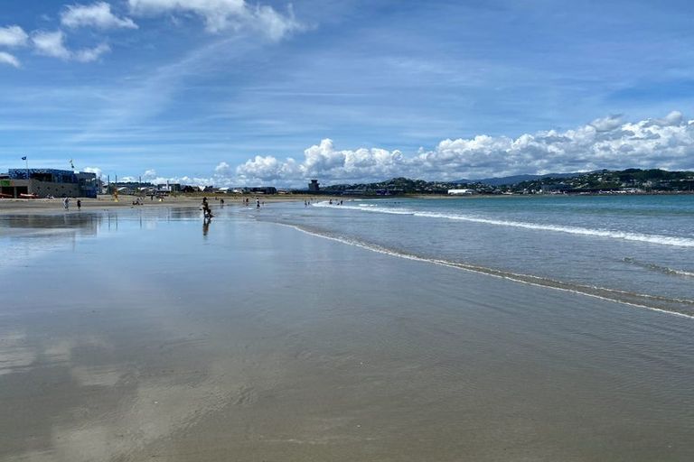 Photo of property in 4/84 Freyberg Street, Lyall Bay, Wellington, 6022