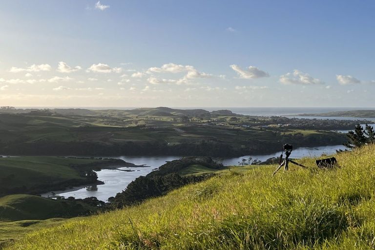 Photo of property in 116 Maungatawhiri Road, Raglan, 3295