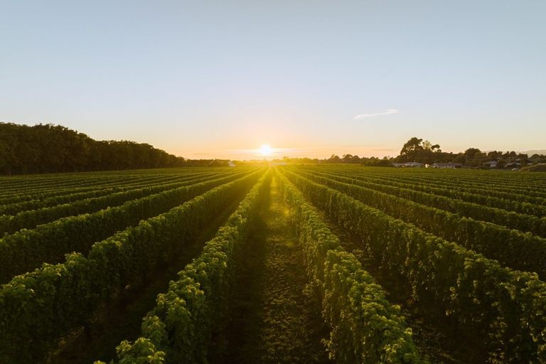 Photo of property in 5 Brook Street, Renwick, 7204