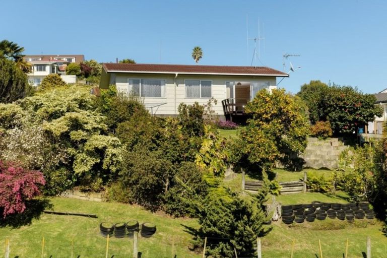 Photo of property in 111b Laurence Street North, Gate Pa, Tauranga, 3112
