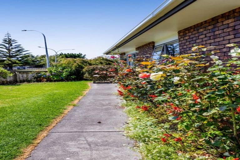 Photo of property in 17 Mcnaughton Street, Waitara, 4320