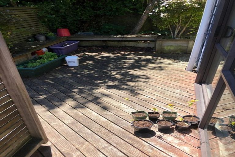 Photo of property in 6/53 Liardet Street, Vogeltown, Wellington, 6021