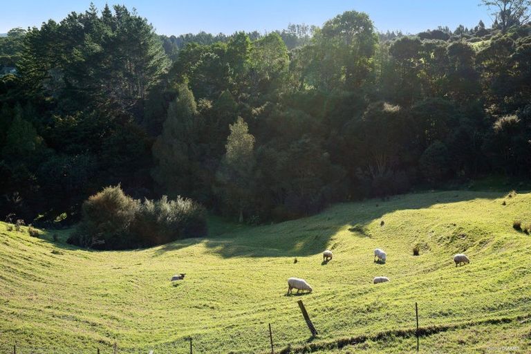 Photo of property in 40 O'brien Road, Coatesville, Albany, 0793