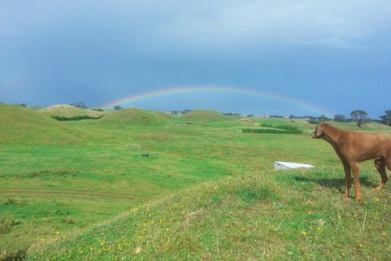 Photo of property in 6388 South Road, Pungarehu, Opunake, 4685