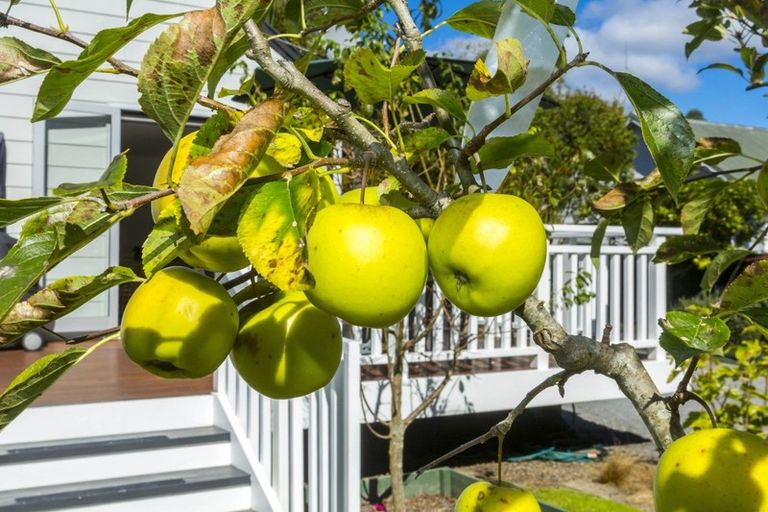 Photo of property in 81 Gemstone Drive, Birchville, Upper Hutt, 5018