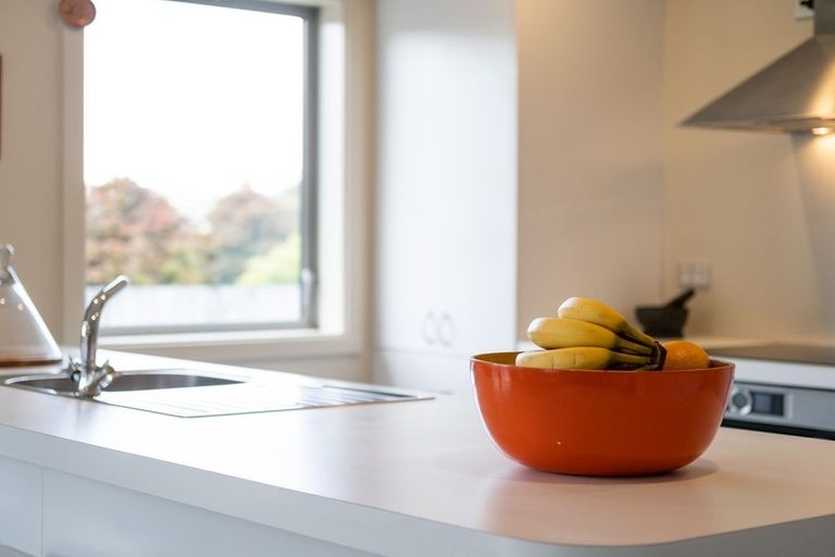 Photo of property in 66e Law Street, Caversham, Dunedin, 9012