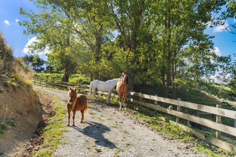 Photo of property in 957 Bull Road, Paparoa, 0193