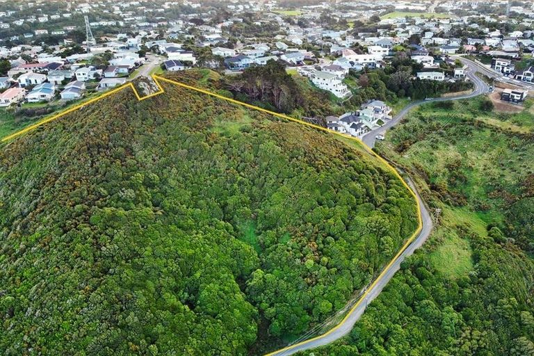 Photo of property in 166 Glanmire Road, Newlands, Wellington, 6037