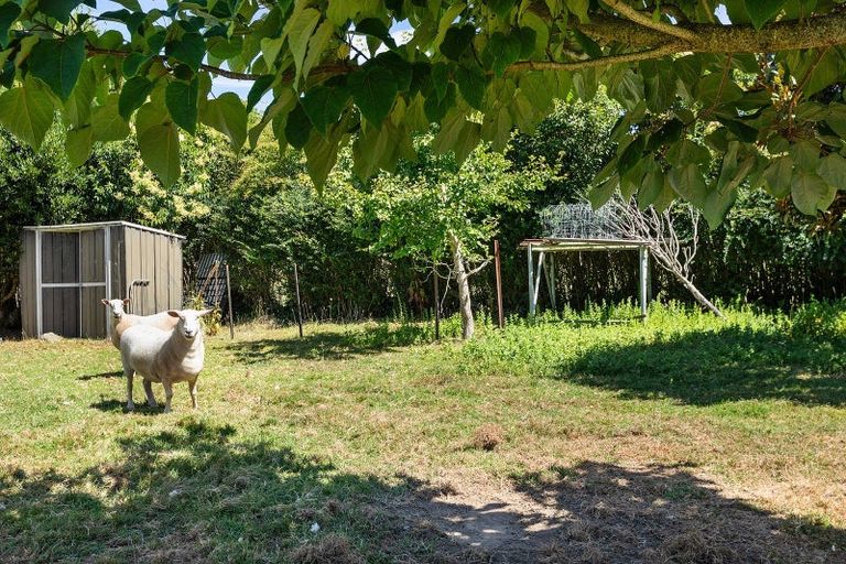 Photo of property in 1635 Te Aroha-gordon Road, Manawaru, Te Aroha, 3391