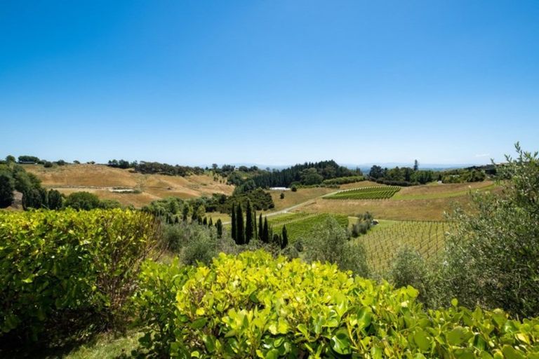 Photo of property in 259 Blackbarn Road, Havelock North, 4294